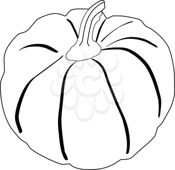 outline illustration of pumpkin, autumn vegetable