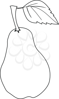 outline illustration of pear, fresh fruit