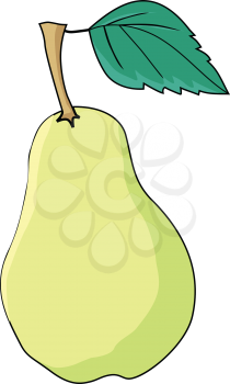 vector illustration of pear, fresh fruit