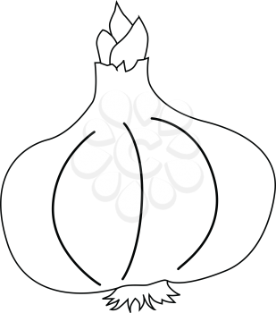 outline illustration of garlic, spice food