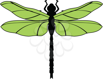 vector illustration of dragonfly, top view