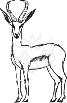 hand drawn, grunge, sketch illustration of gazelle