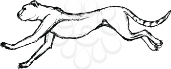 hand drawn, grunge, sketch illustration of running cheetah