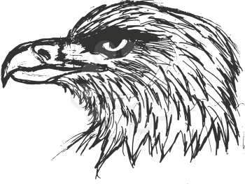 hand drawn, grunge, sketch illustration of bold eagle