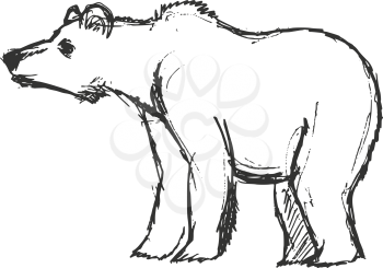 bear, illustration of wildlife, zoo, wildlife, animal of forest