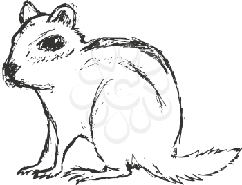 chipmunk, illustration of wildlife, zoo, wildlife, animal of forest