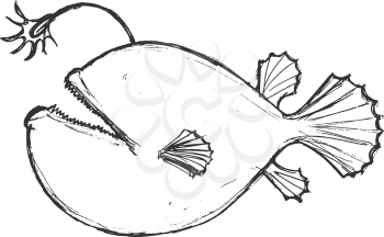 deep-sea fish, illustration of wildlife, zoo, wildlife, animal of sea