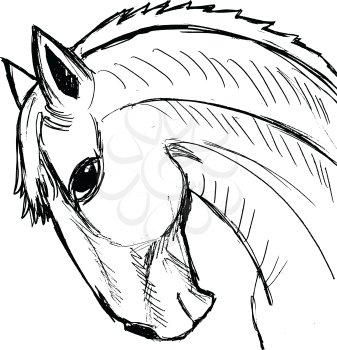 horse, illustration of wildlife, zoo, wildlife, animal of farm