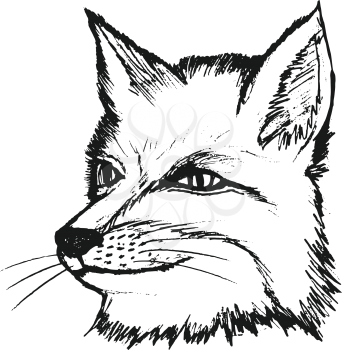 fox, illustration of wildlife, zoo, animal of forest, red, sly, predator