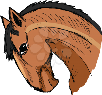 horse, illustration animal of farm