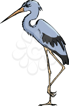 heron, illustration of wildlife, zoo, animal of water, bird