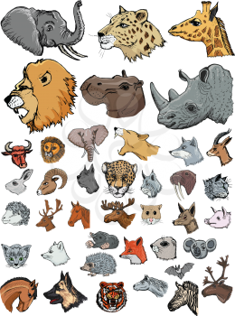 set of illustrations of different kinds of mammals