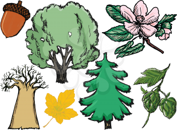 set of trees and plants with oak and pine
