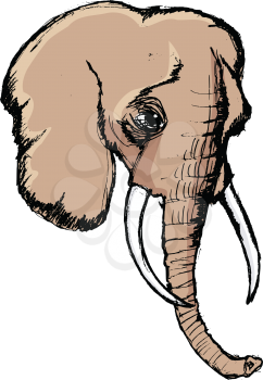elephant, illustration of wildlife, zoo, animal of Africa, safari