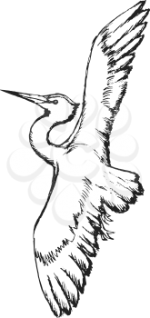heron in flight, white heron, beauty in nature, flying heron, water bird heron, big bird, wildlife, wilderness, heron is bird of rivers and ponds, heron in sketch style, wild bird heron