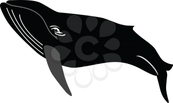 silhouette of whale