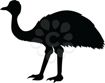 silhouette of ostrich emu