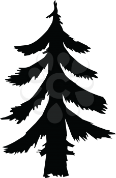 silhouette of fir