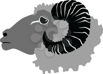 vector illustration of ram