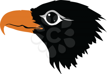 silhouette of eagle