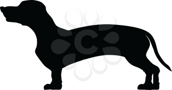 silhouette of dachshund