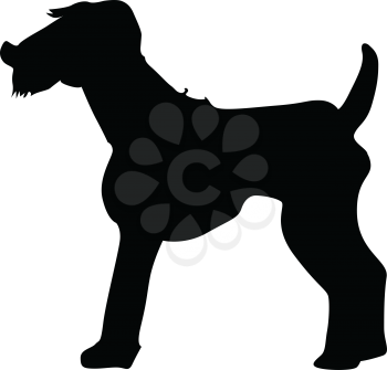 silhouette of welsh terrier