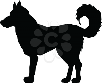 silhouette of husky