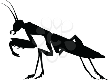 silhouette of mantis