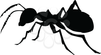 silhouette of ordinary ant