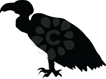 silhouette of vulture