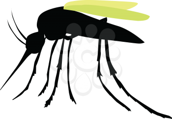 silhouette of mosquito
