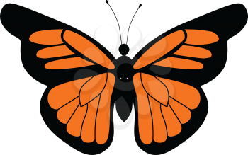 vector illustration of monarch butterfly