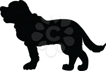 silhouette of saint bernard dog