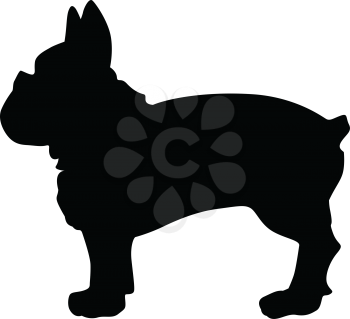 silhouette of french bulldog