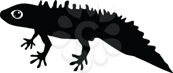 silhouette of newt