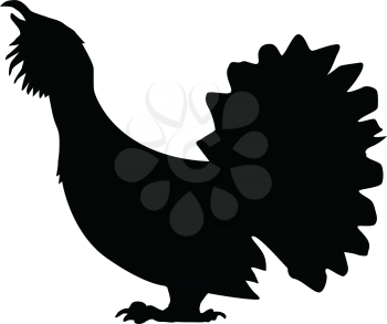 silhouette of grouse bird