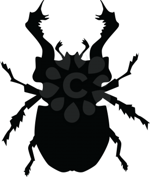 silhouette of stag beetle