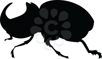 silhouette of rhinoceros beetle