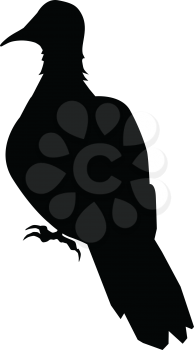 silhouette of dove