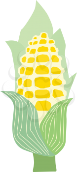 vector illustration of corn