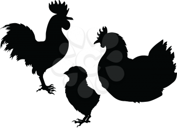 Silhouettes of chicken family