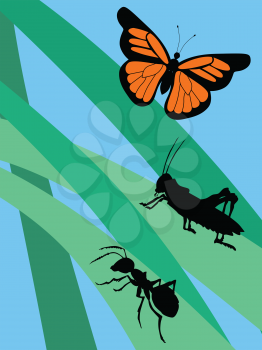 vector illustration of insects in grass