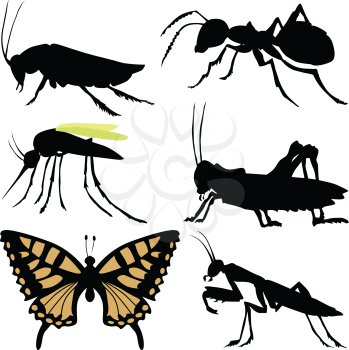 silhouettes of insects