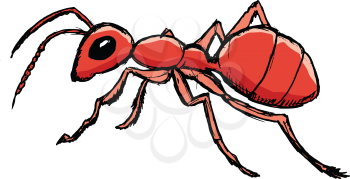 vector, coloured, sketch, hand drawn image of red ant