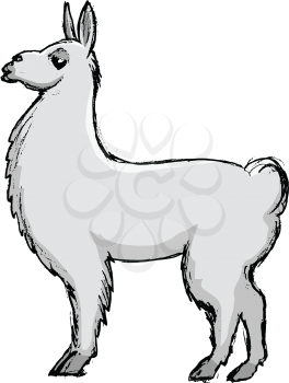 vector, coloured, sketch, hand drawn image of lama