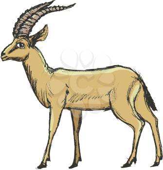 vector, coloured, sketch, hand drawn image of antelope