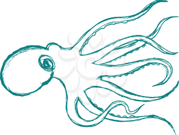 vector, sketch, hand drawn illustration of octopus