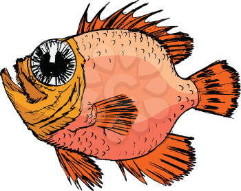 sketch of rockfish, illustration of wildlife, zoo, animals