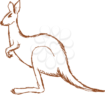 vector, sketch, hand drawn illustration of kangaroo