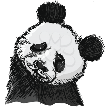 vector, coloured, sketch, hand drawn image of panda